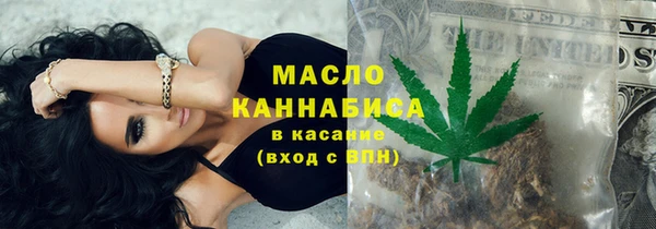 хмурый Каменка