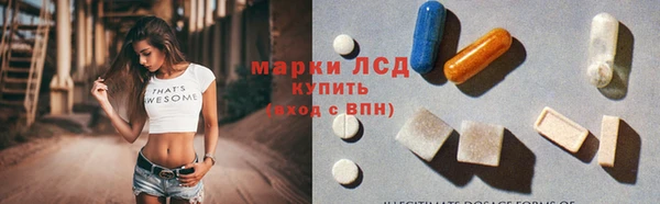 хмурый Каменка