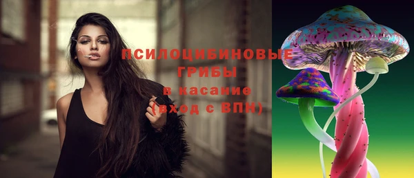 прущая мука Каменногорск