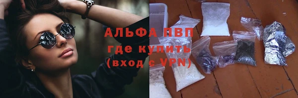 хмурый Каменка