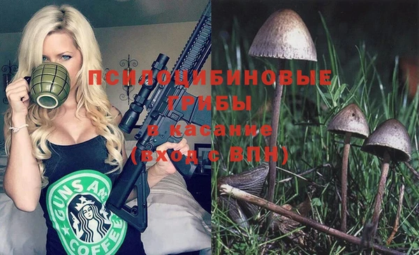 прущая мука Каменногорск