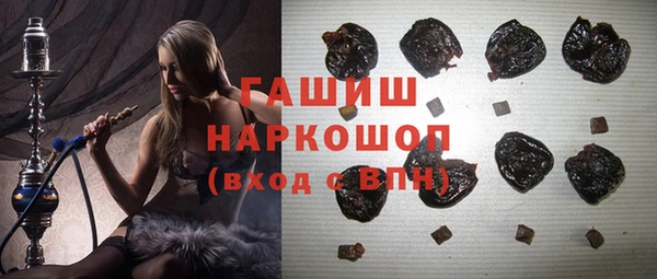 хмурый Каменка