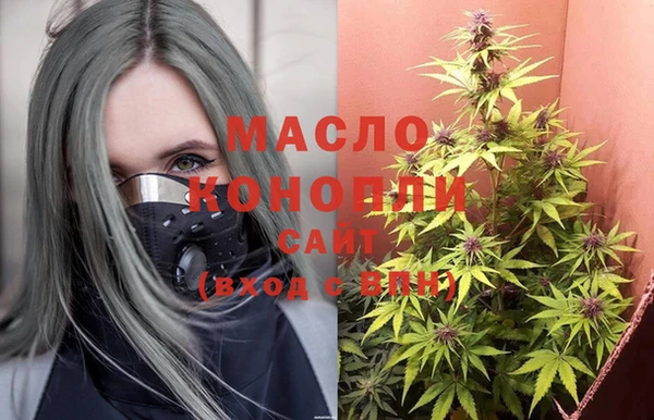 хмурый Каменка